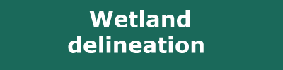 Wetland delineation